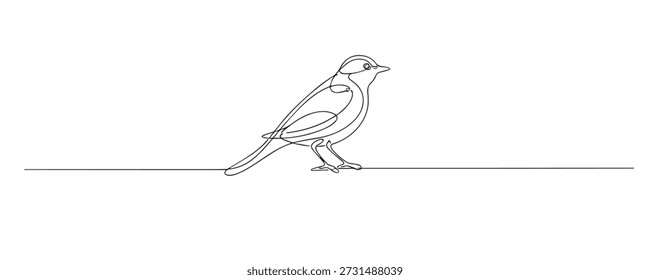 Handgezeichnete durchgehende Liniendarstellung eines Vogels. Einzeiliges Kunstwerk, das Tierwelt und Natur repräsentiert.