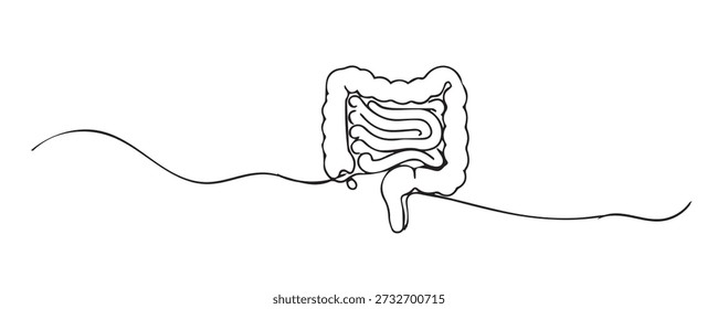 Ilustração de linha contínua desenhada à mão da anatomia do intestino humano. Linha única representando o sistema digestivo, órgão interno, ciência médica e saúde intestinal.