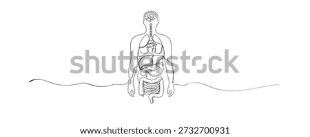 Hand drawn continuous line illustration of human body anatomy with internal organs. Single line representing medical science, biology, and human health education.