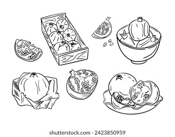 El doodle de contorno dibujado a mano con granadas. Contorno negro esquemático entero y parte de frutas sobre fondo blanco. Ideal para colorear páginas, tatuajes, patrones