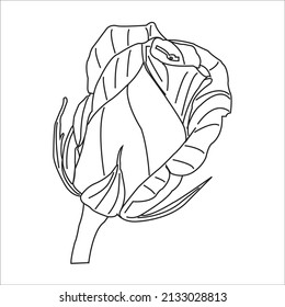 Hand drawn contour flower for anti stress colouring page. Pattern for coloring book. Vector illustration in zentangle style. Ornamental design.