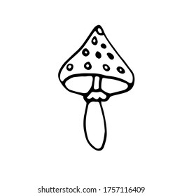 Icono de contorno dibujado a mano de un hongo agaric de mosca en el estilo Doodle. Ilustración vectorial simple aislada en un fondo blanco