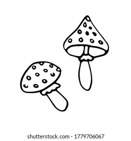 Hand drawn contour icon of a fly agaric mushroom in the Doodle style. Simple vector illustration isolated on a white background