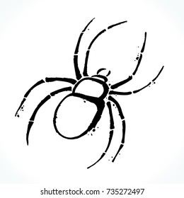 Hand drawn contour picture of spider silhouette isolated on white background. Template for Halloween design. Vector illustration. 