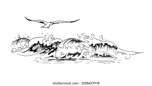 Hand Drawn Contour Sketch of Rolling Wave and Seagull. Vector Illustration.