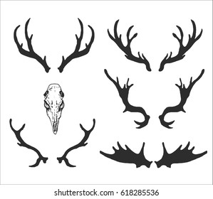 hand drawn contours and silhouettes of deer skull and horns. use for template