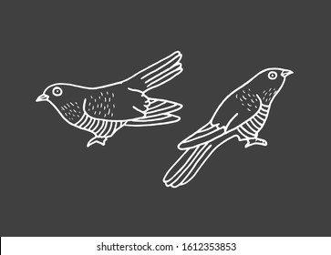Hand drawn coo coo birds, doodle handmade illustration 