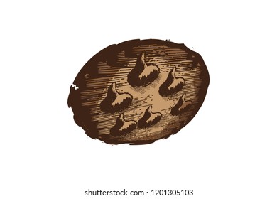 hand drawn cookies logo Designs Inspiration Isolated on White Background