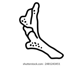 Hand Drawn Coral Reef Illustration