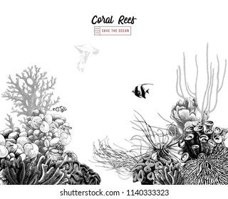 Hand drawn coral reef with tropical fishes. Vector illustration in vintage style