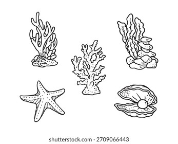 hand drawn coral, shell, star fish under water illustrations