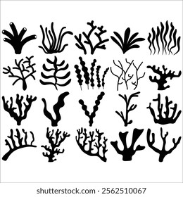 Hand drawn Coral Silhouette illustration set