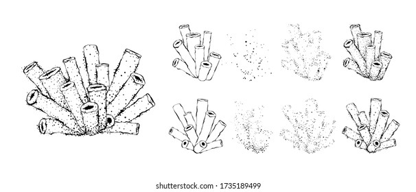 Hand drawn corals constructor. Outline design with dots.