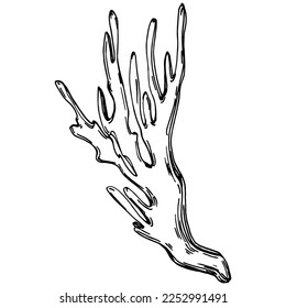 Hand drawn corals isolated on white. Sketch drawing