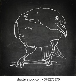 Hand drawn corbie on branch. Chalk drawn on blackboard. Vector stock illustration