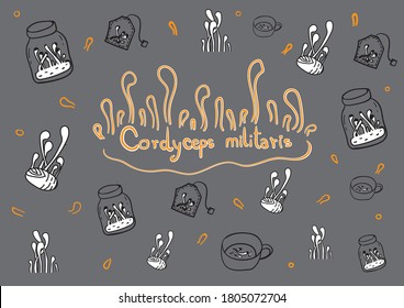 Hand drawn cordyceps militaris orange medical mushroom