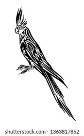 Hand drawn corella parrot outline sketch. Vector bird black ink drawing isolated on white background. Graphic animal illustration.