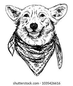 Hand drawn Corgi dog with bandana on his neck, furry and fashion illustration