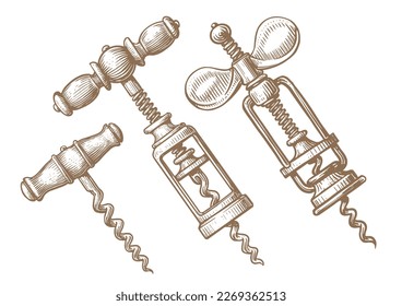 Hand drawn corkscrew in engraving style. Vintage style. Sketch vector illustration