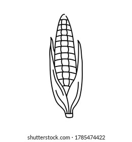 Handgezeichneter Mais in schwarzer Linie, einfache Ikone im Doodle-Stil, frisches gelbes Gemüse mit grünen Blättern. Vektorgrafik auf isoliertem weißem Hintergrund. 