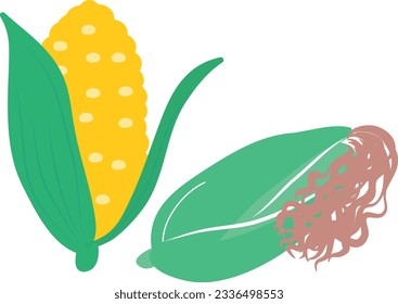 Hand drawn corn cob 3
