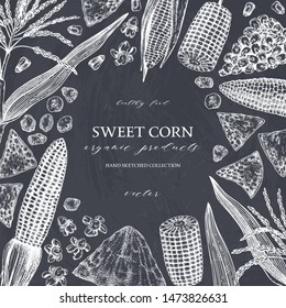 Hand drawn corn design on chalkboard. Vector food sketches. With Maize plant, corn cob and grains. Botanical drawing of vintage cereal plants. Great for packaging, menu, label, banner. 