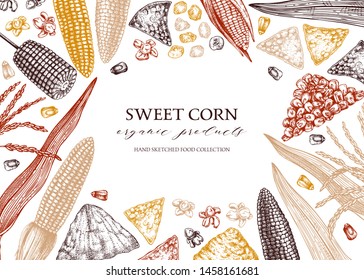 Hand drawn corn design. Vector maize sketches. With Maize plant, corn cob and grains. Botanical drawing of vintage cereal plants drawing. Great for packaging, menu, label. Farm fresh food background.