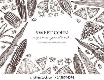 Hand drawn corn design. Vector maize sketches. With Maize plant, corn cob and grains. Botanical drawing of vintage cereal plants drawing. Great for packaging, menu, label. Farm fresh food background.