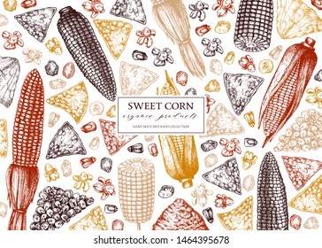 Hand drawn corn design. Vector maize sketches. With Maize plant, corn cob and grains. Botanical drawing of vintage cereal plants drawing. Great for packaging, menu, label. Farm fresh food background.