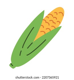 Hand drawn corn doodle icon, vector illustration of corn with seeds and leaves, isolated colored clipart of maize on white background, organic vegetarian eating, farm vegetable food