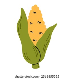 Hand drawn corn in doodle style. Fresh diet vegetable. Simple style maize
