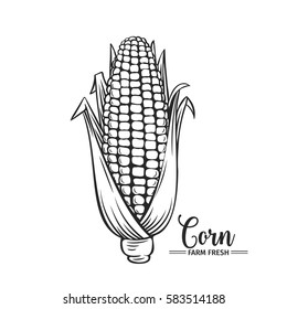 Hand Drawn Corn Icon. Vector Badge Vegetable In The Old Ink Style For Brochures, Banner, Restaurant Menu And Market