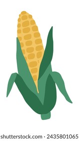 Hand drawn corn on the cob drawing illustration