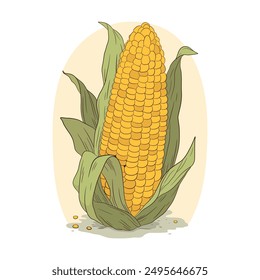 Hand drawn corn on the cob drawing illustration isolated on white background. Food, yellow raw maize corncobs with green leaves, grain agriculture concept. Natural popcorn, organic harvest vegetable.