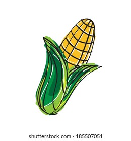 Hand drawn corn on white background