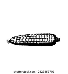 Dibujado a mano ilustración de boceto de maíz