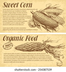 Hand drawn corn. Vector banners with space for your text