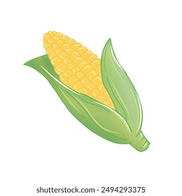 hand drawn corn vector illustration
