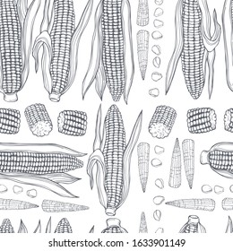 Hand drawn corn. Vector  seamless pattern.