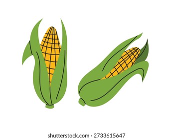 Milho desenhado à mão, vegetal, milho com folhas