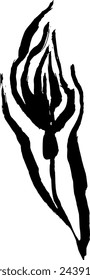Hand Drawn Cornflower Brush Ink Silhouette