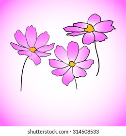 hand drawn cosmos flower