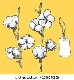 Hand drawn cotton branch set with text label in vector