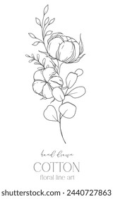 Hand Drawn Cotton Flowers Line Art Illustration. Cotton Balls isolated on white. Floral Line Art. Cotton Plant Black and white illustration. Fine Line Cotton illustration. 