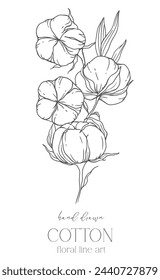 Hand Drawn Cotton Flowers Line Art Illustration. Cotton Balls isolated on white. Floral Line Art. Cotton Plant Black and white illustration. Fine Line Cotton illustration. 