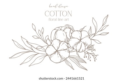 Hand Drawn Cotton Flowers Line Art Illustration. Cotton Balls isolated on white. Floral Line Art. Cotton Plant Black and white illustration. Fine Line Cotton illustration. 