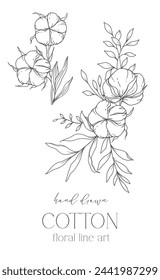 Hand Drawn Cotton Flowers Line Art Illustration. Cotton Balls isolated on white. Floral Line Art. Cotton Plant Black and white illustration. Fine Line Cotton illustration. 