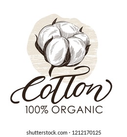 Hand Drawn cotton illustration with lettering. Can use for label, logo. Template for your design.