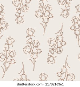 Hand drawn cotton plant seamless pattern