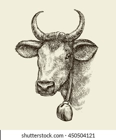 Hand drawn cow, bull. Sketch a farm animal. Vector illustration